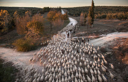 Atkins CIWEM Environmental Photographer Of The Year 2016 Shortlist