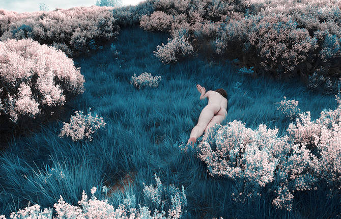 Nude Pictures of Men in Wildflowers’ Fields