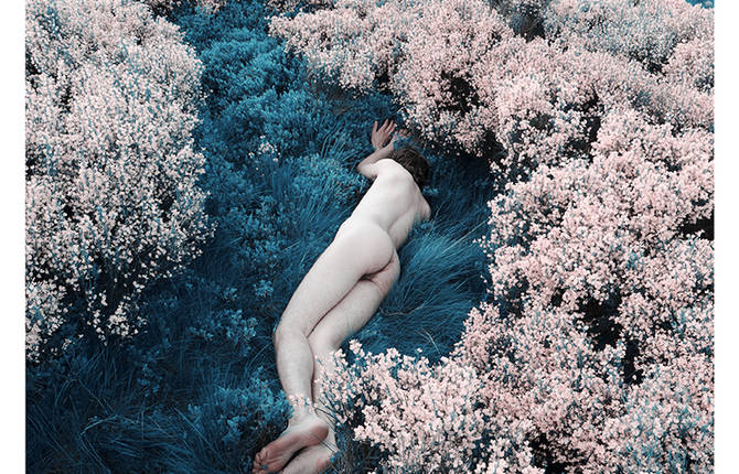 Nude Pictures of Men in Wildflowers’ Fields