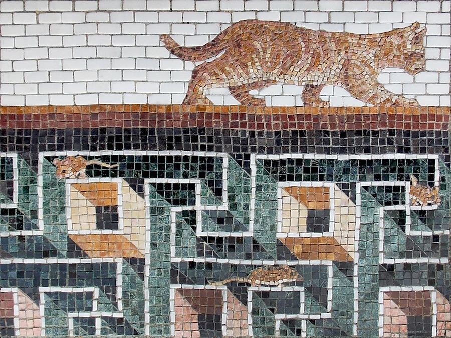 Cheeky-Mosaic6