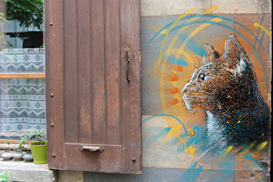 Colorful Stenciled Cats on the City Walls6