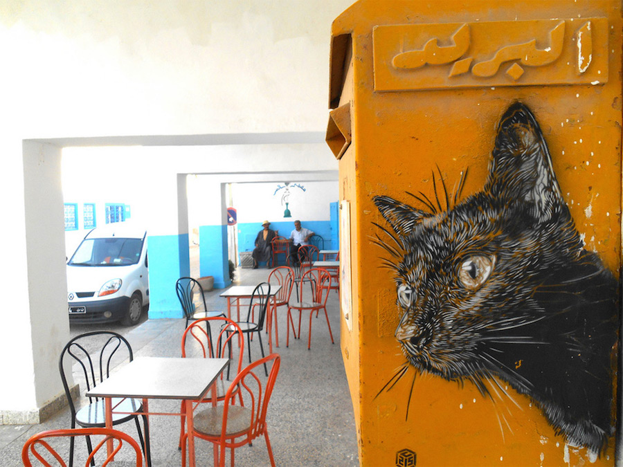 Colorful Stenciled Cats on the City Walls8