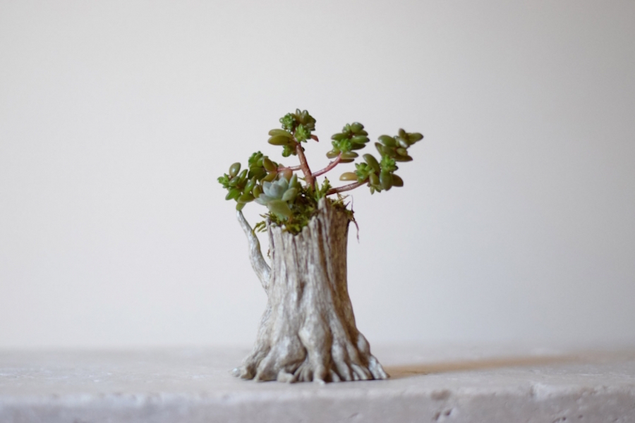 Cute Handmade Japanese Planters2
