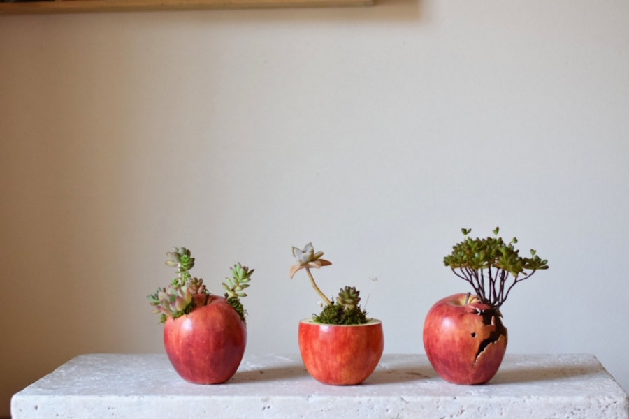Cute Handmade Japanese Planters5