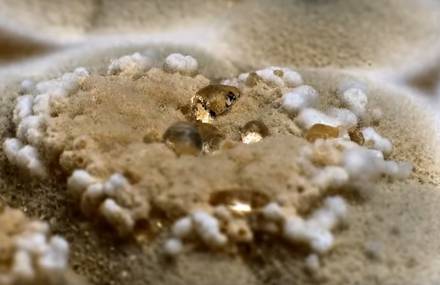 Parody of Game of Thrones – Westeros in Mold