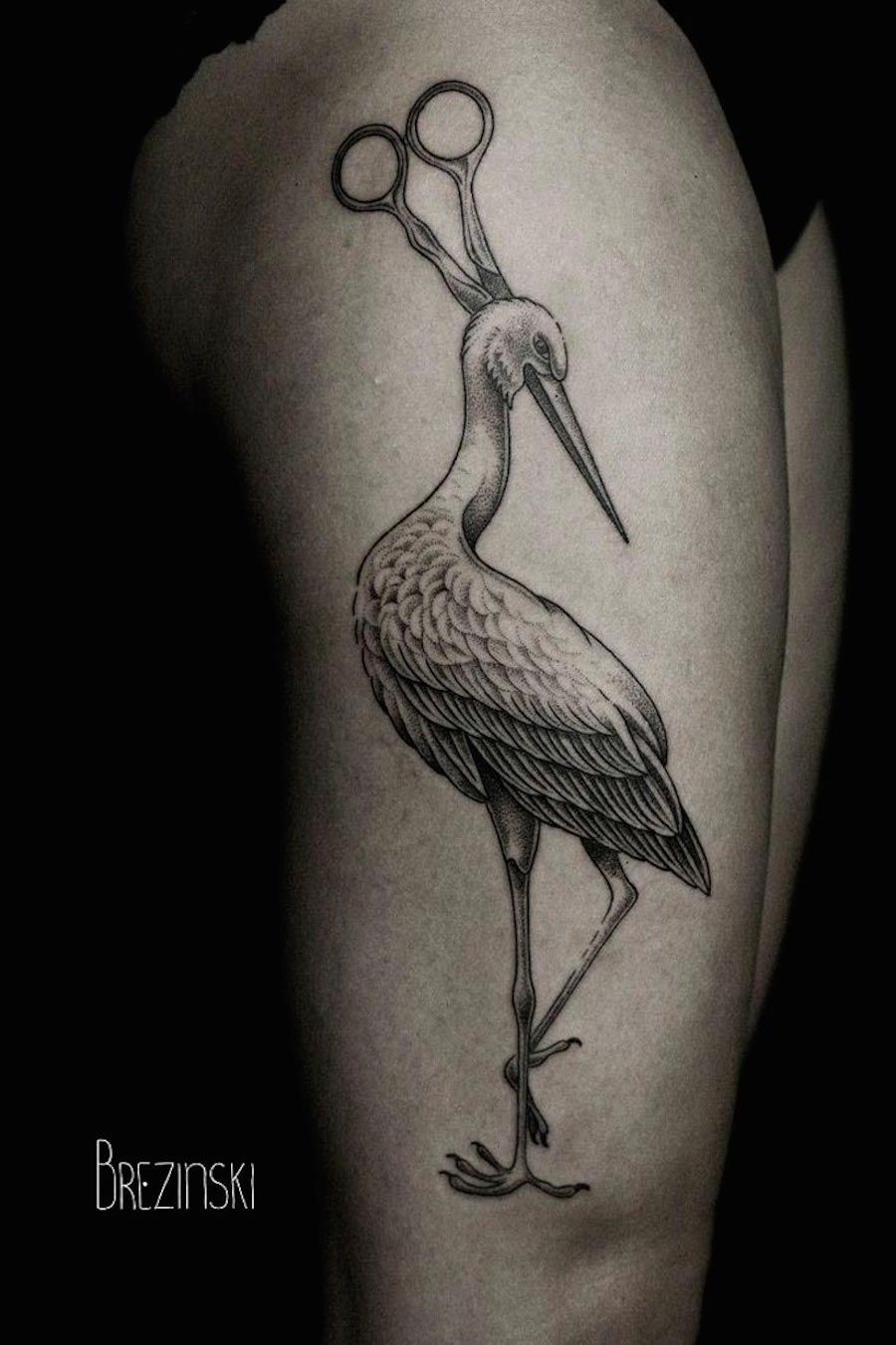 Hybrid Wildlife Black and White Tattoos  5