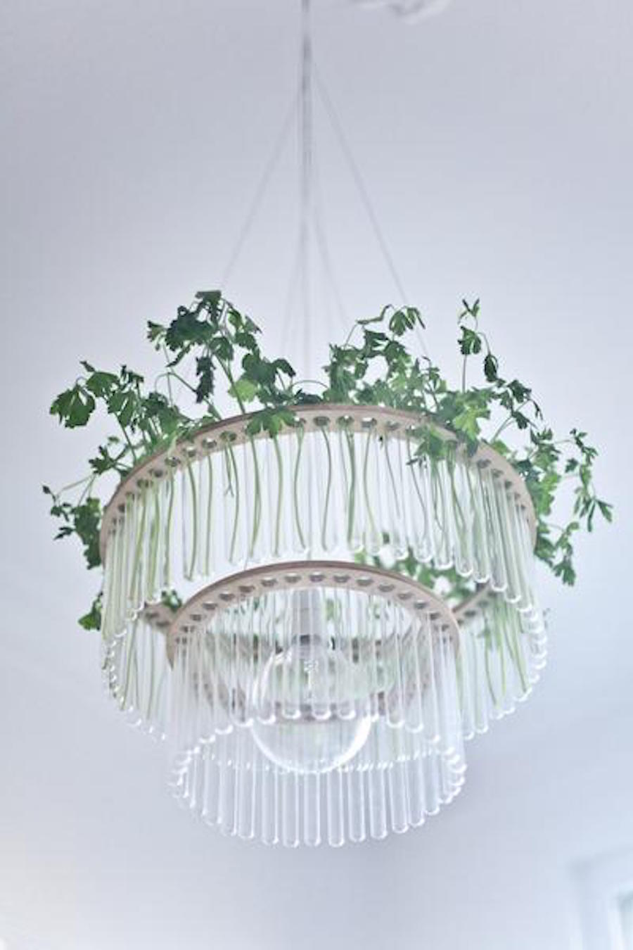 Inventive Test Tube Chandeliers6