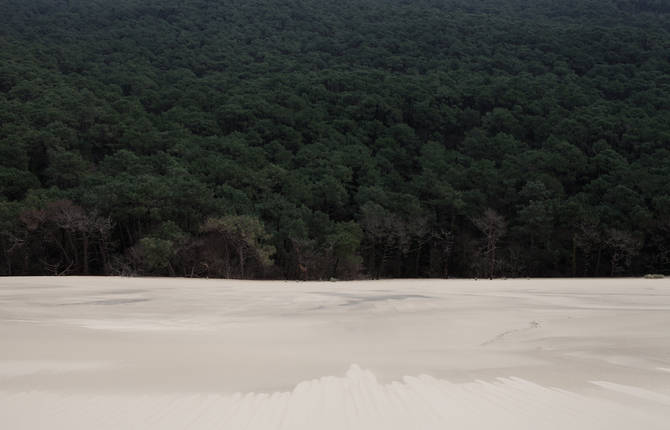 Amazing Landscapes Split by a Clear Central Line