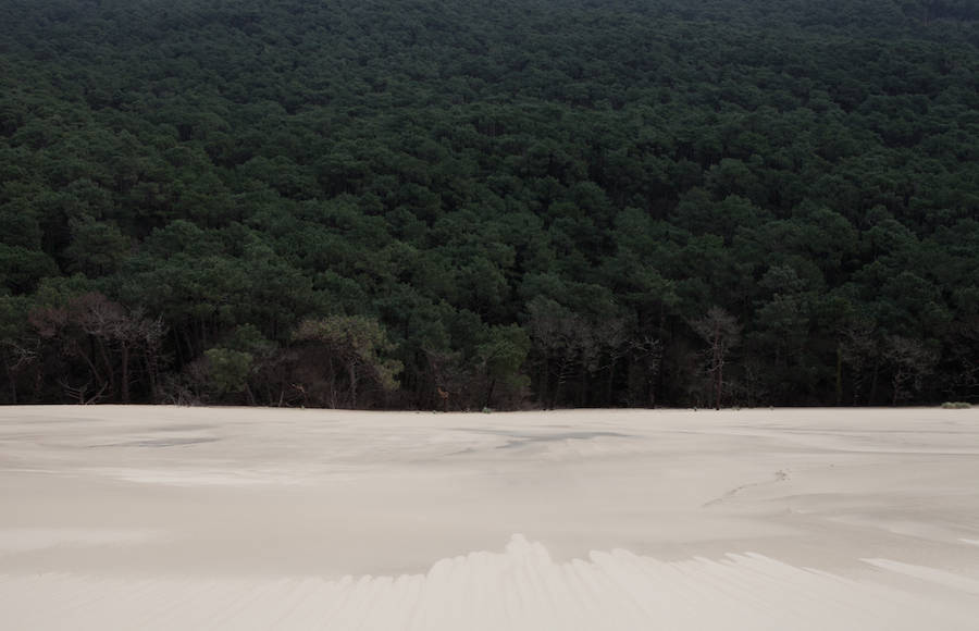 Amazing Landscapes Split by a Clear Central Line