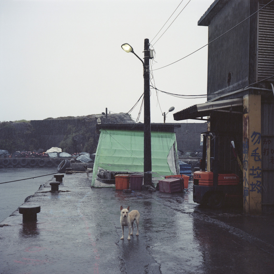 Melancholic Photo Series About Typhoons in Vietnam10