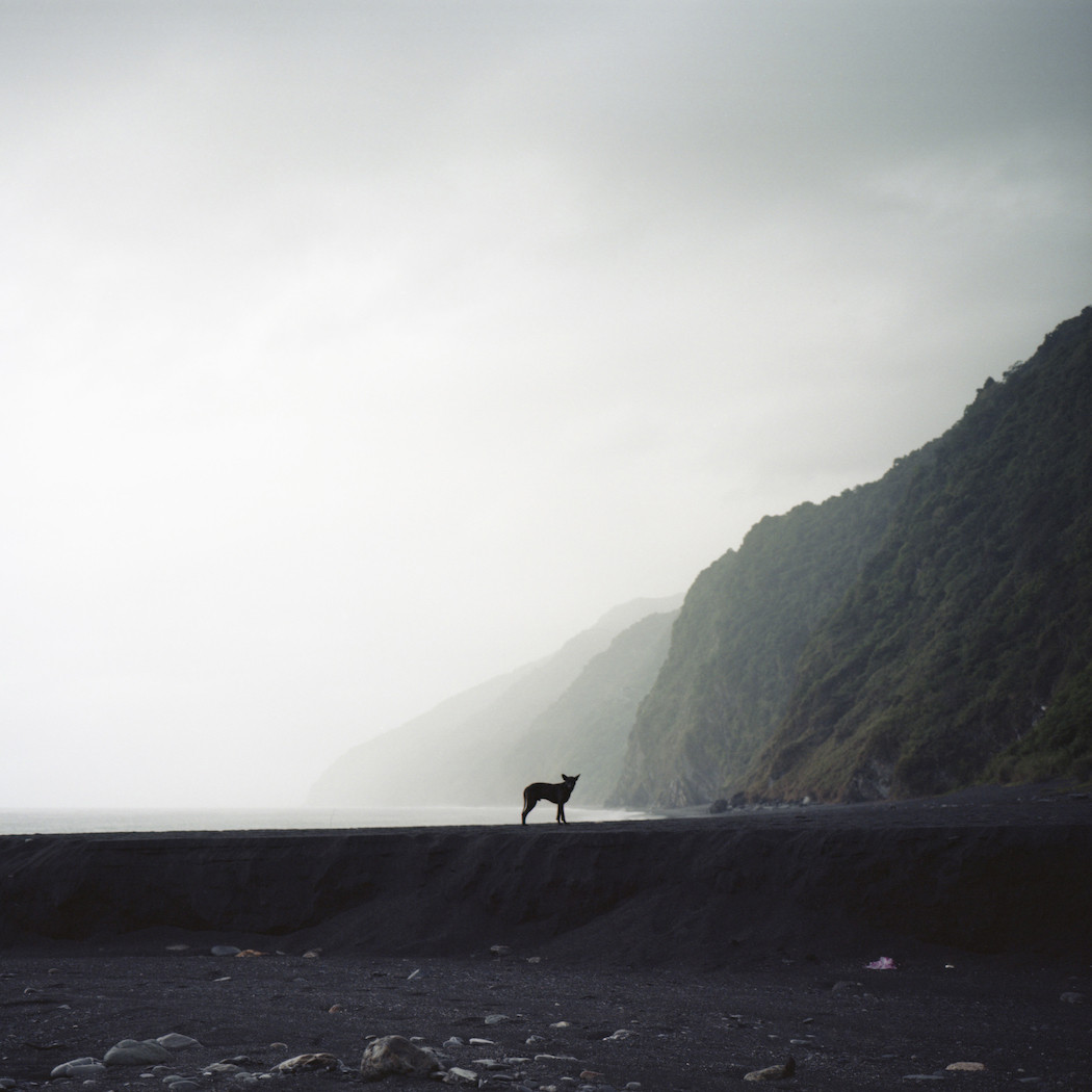 Melancholic Photo Series About Typhoons in Vietnam22