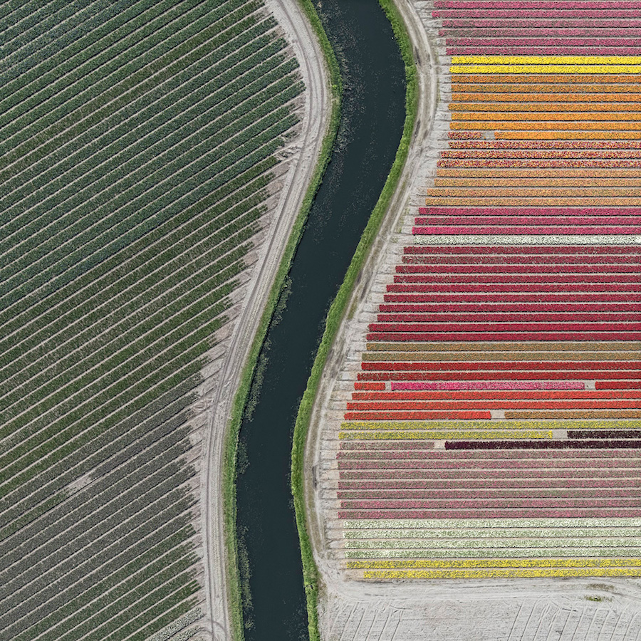 Multicolored Tulip Fields From the Air10