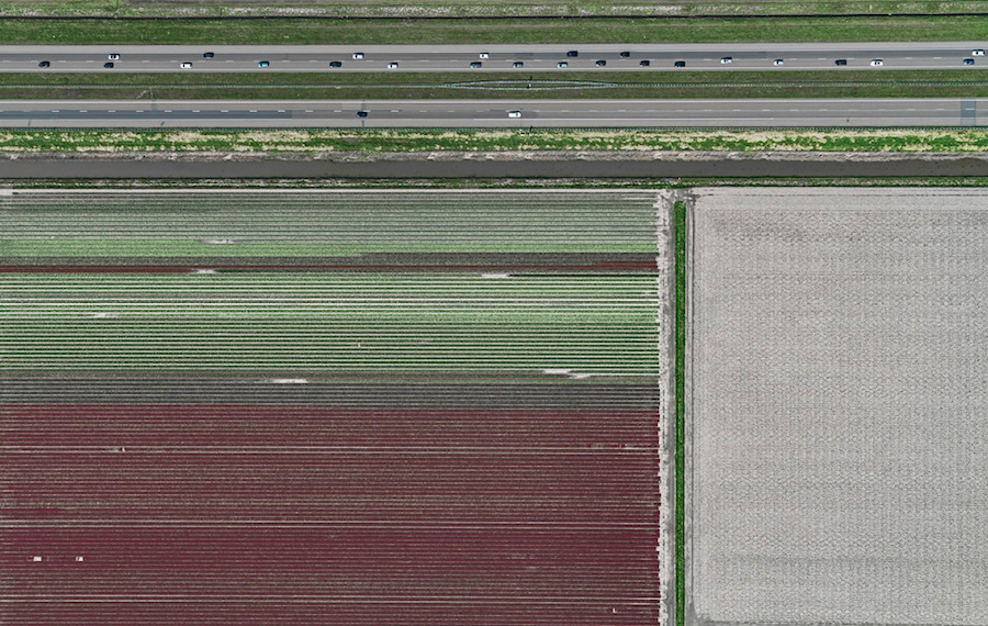 Multicolored Tulip Fields From the Air11