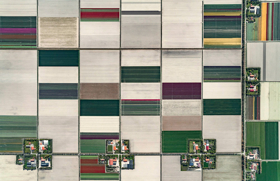 Multicolored Tulip Fields From the Air16