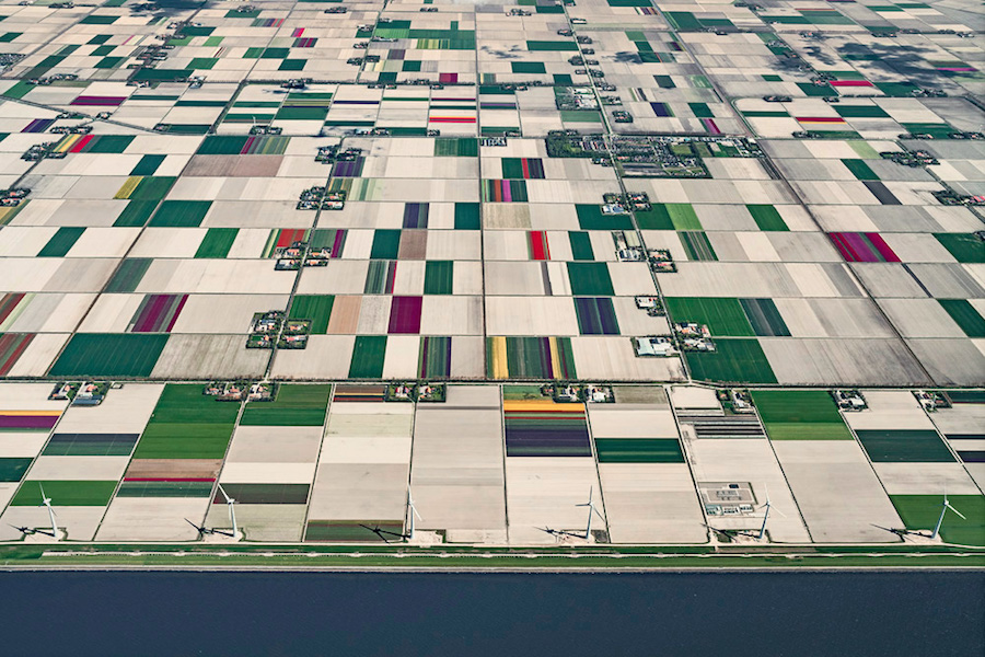 Multicolored Tulip Fields From the Air19