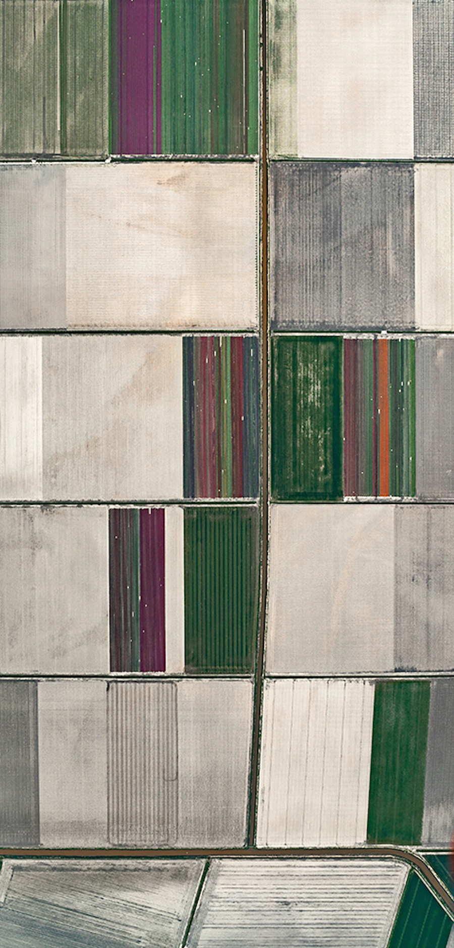 Multicolored Tulip Fields From the Air20