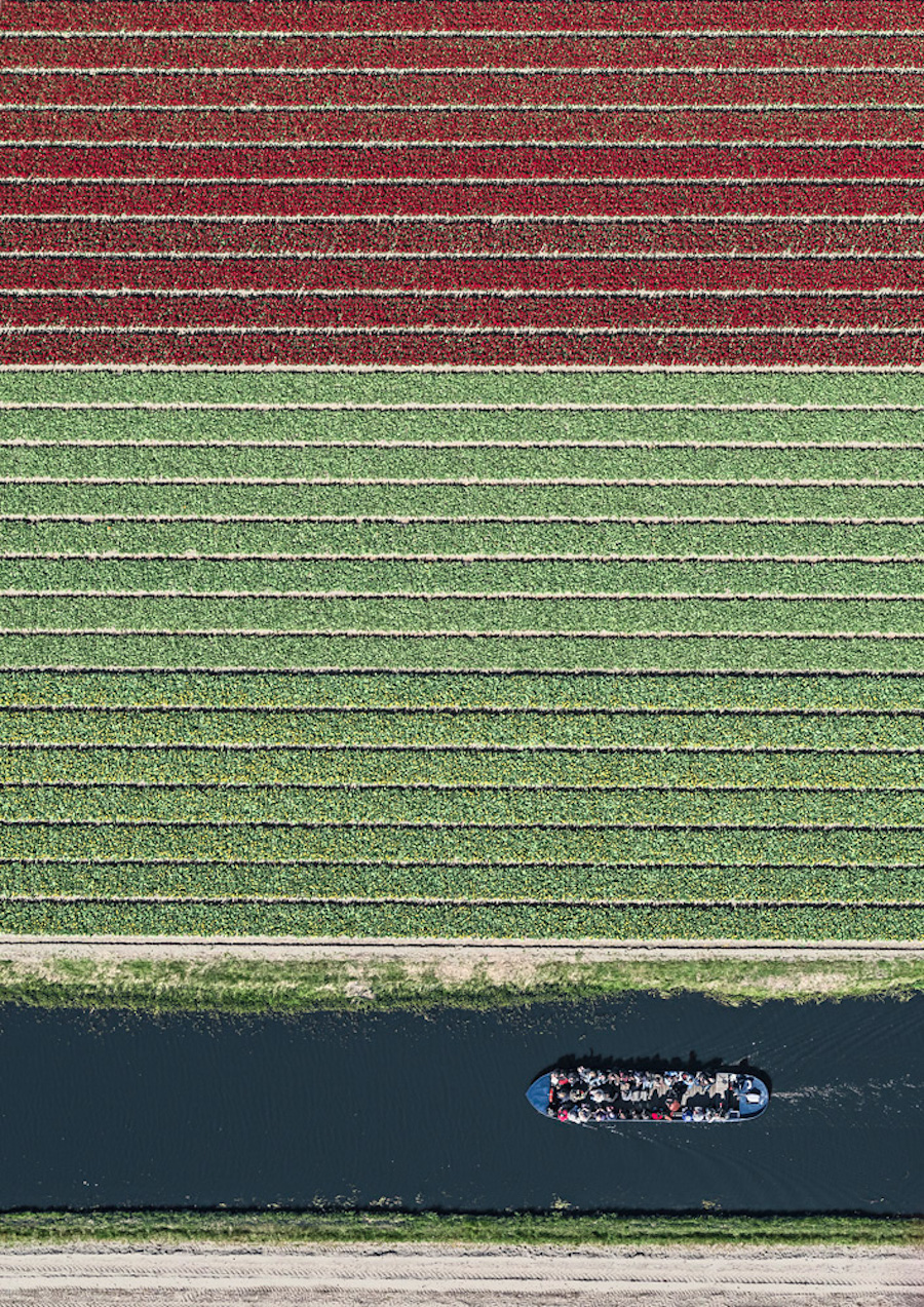 Multicolored Tulip Fields From the Air25