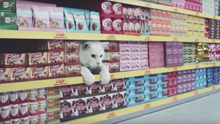 Hilarious Netto Ad with Cats