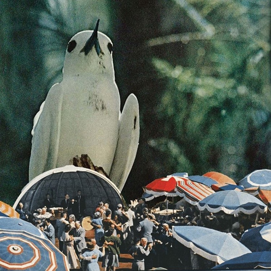 Sctterbrain-collages1