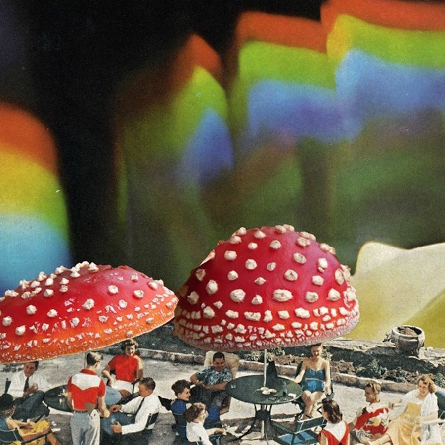 Sctterbrain-collages3