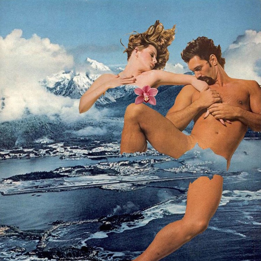Sctterbrain-collages6