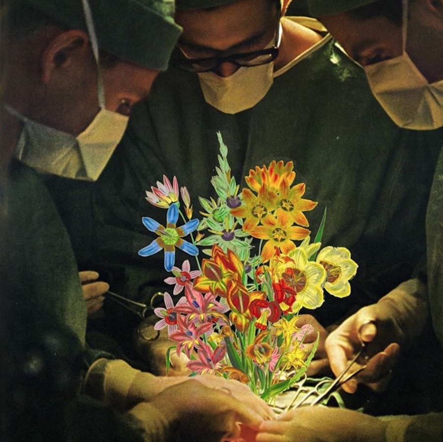 Sctterbrain-collages7