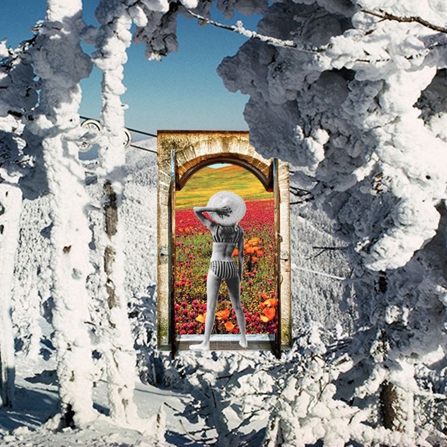 Sctterbrain-collages8