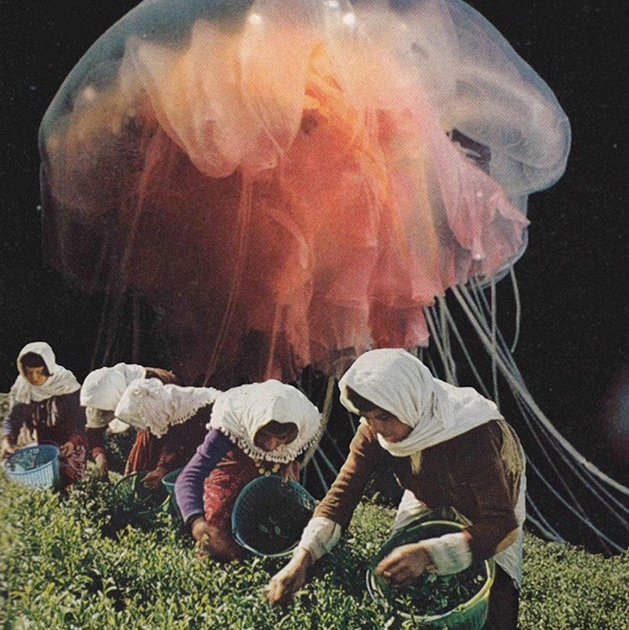 Sctterbrain-collages9