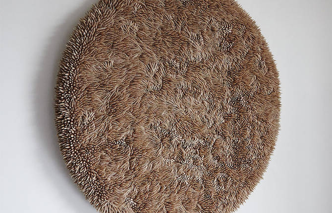 Subtle 3D Shell Sculptures