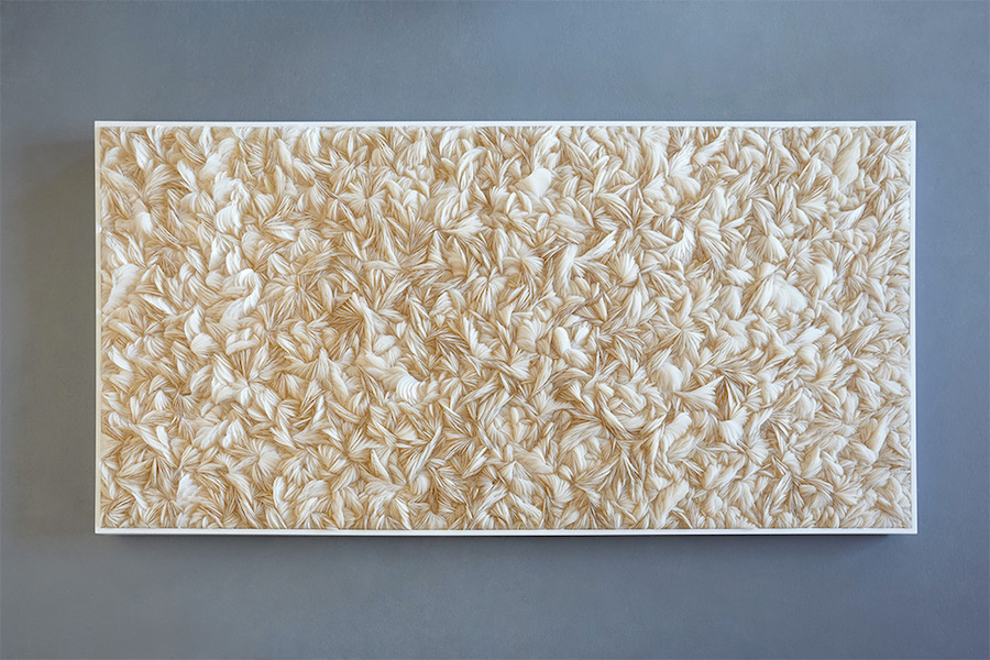 Subtle 3D Shell Sculptures5