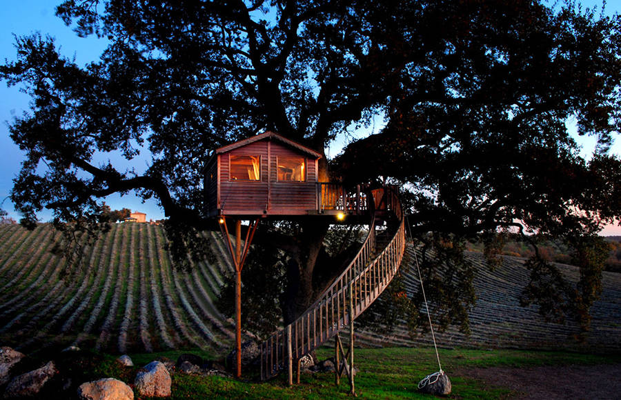 Wooden Tree House in Tuscany