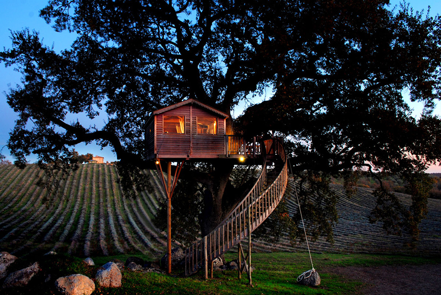 Wooden Tree House in Tuscany1