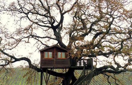 Wooden Tree House in Tuscany