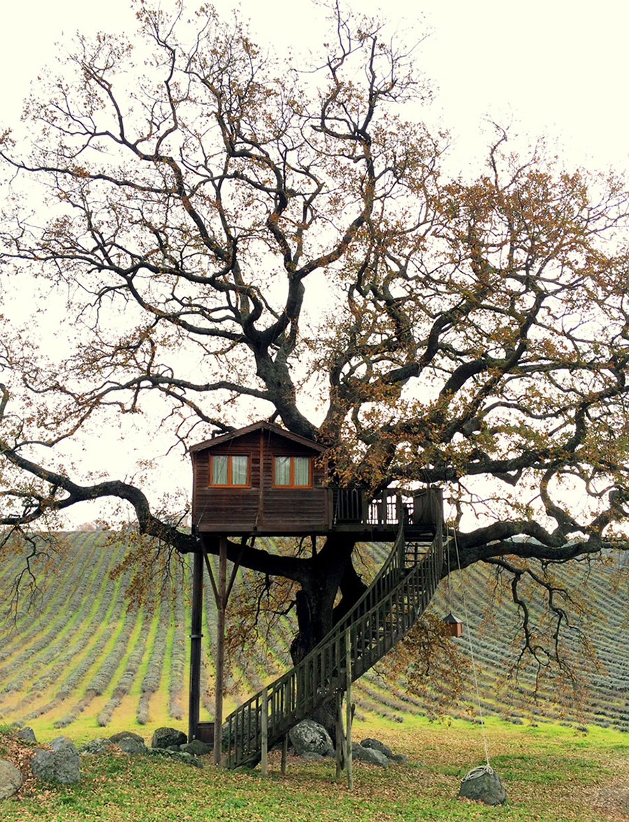 Wooden Tree House in Tuscany2