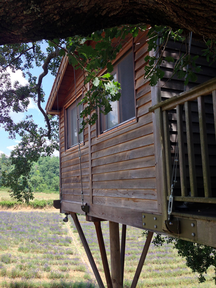 Wooden Tree House in Tuscany6