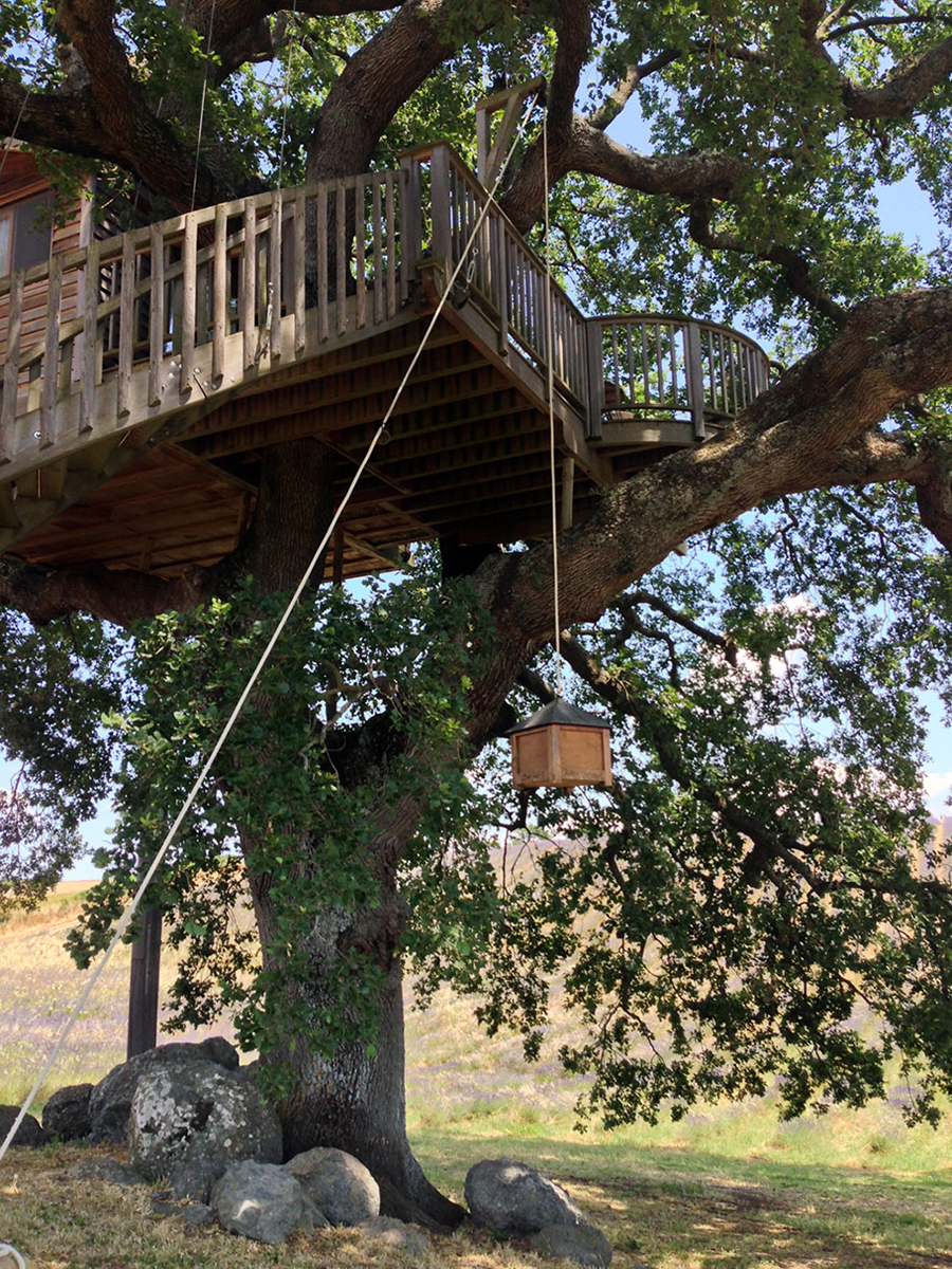 Wooden Tree House in Tuscany7
