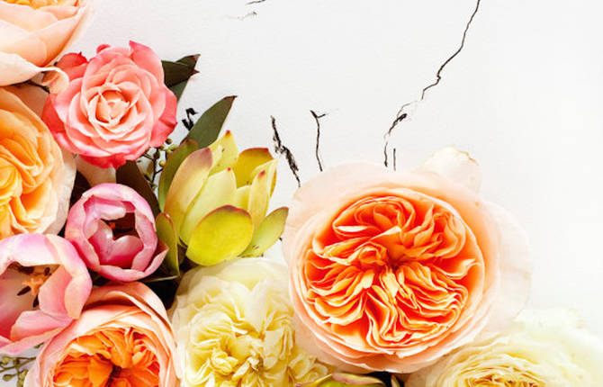 Poetic Illustrations of Animals Featuring Flowers