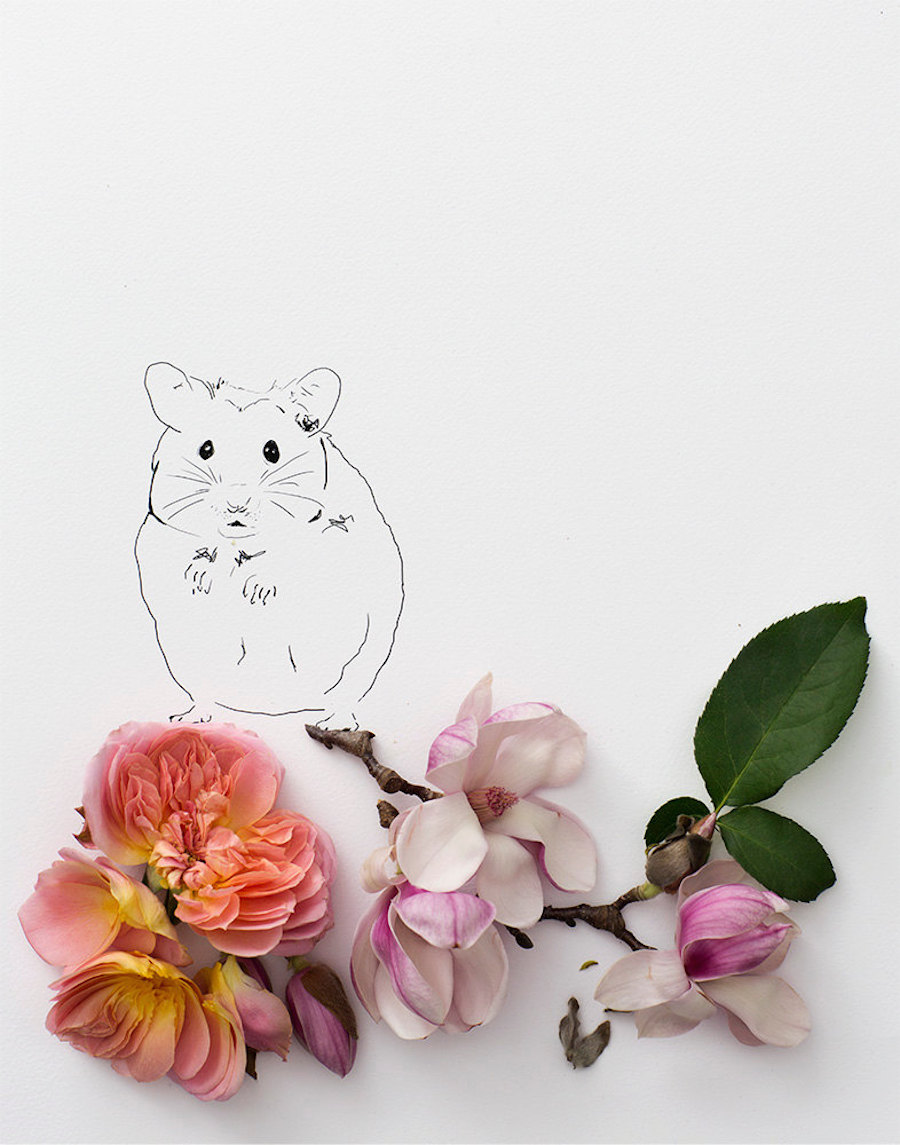 animalillustrationsflowers10