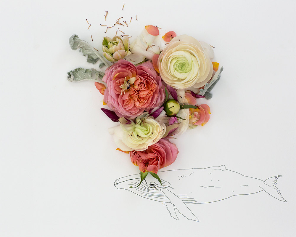 animalillustrationsflowers11