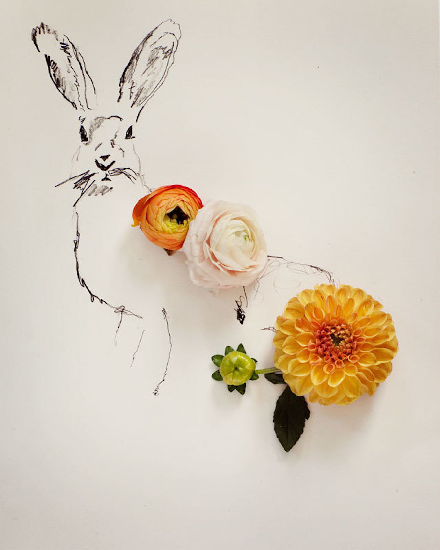 animalillustrationsflowers2