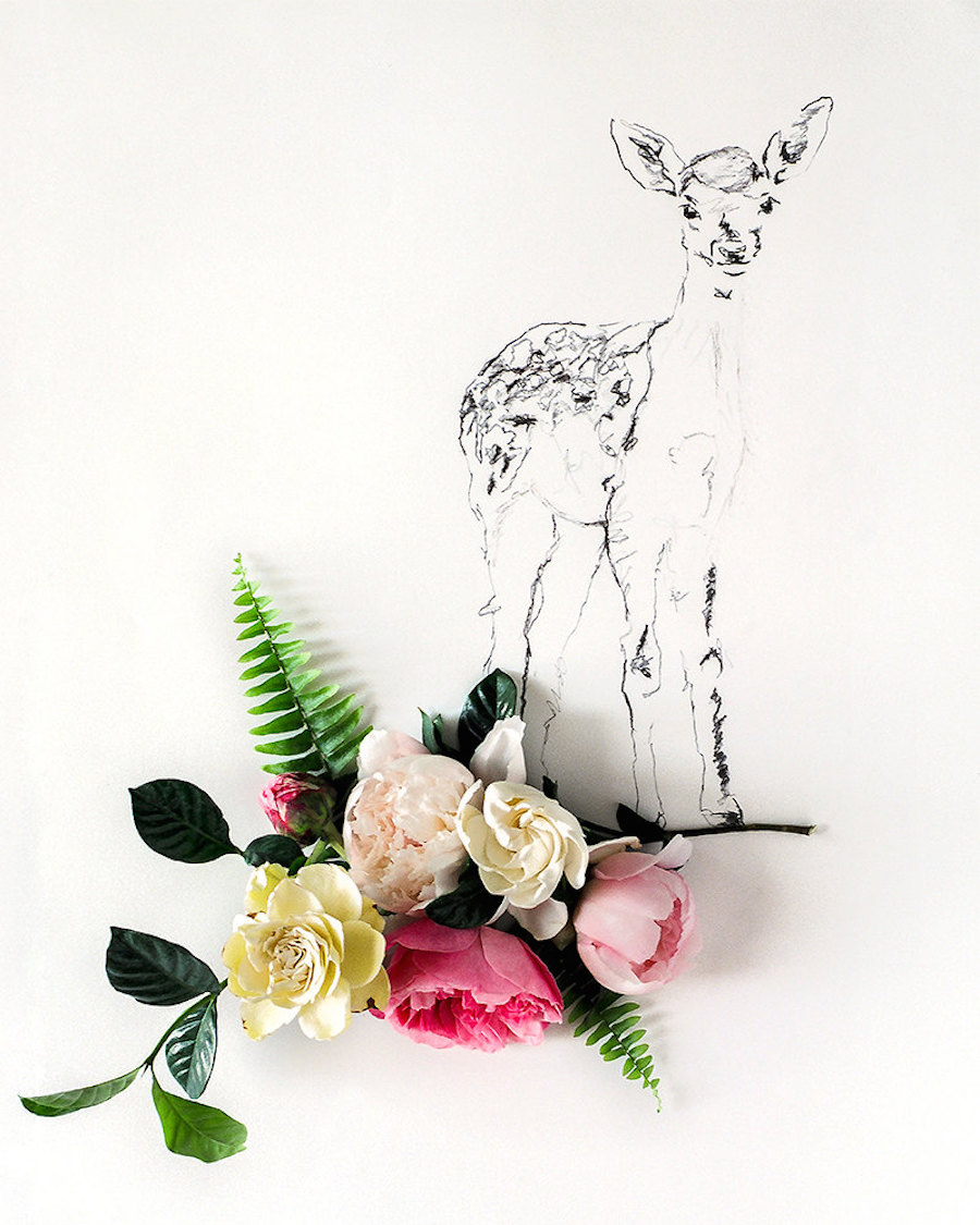 animalillustrationsflowers8