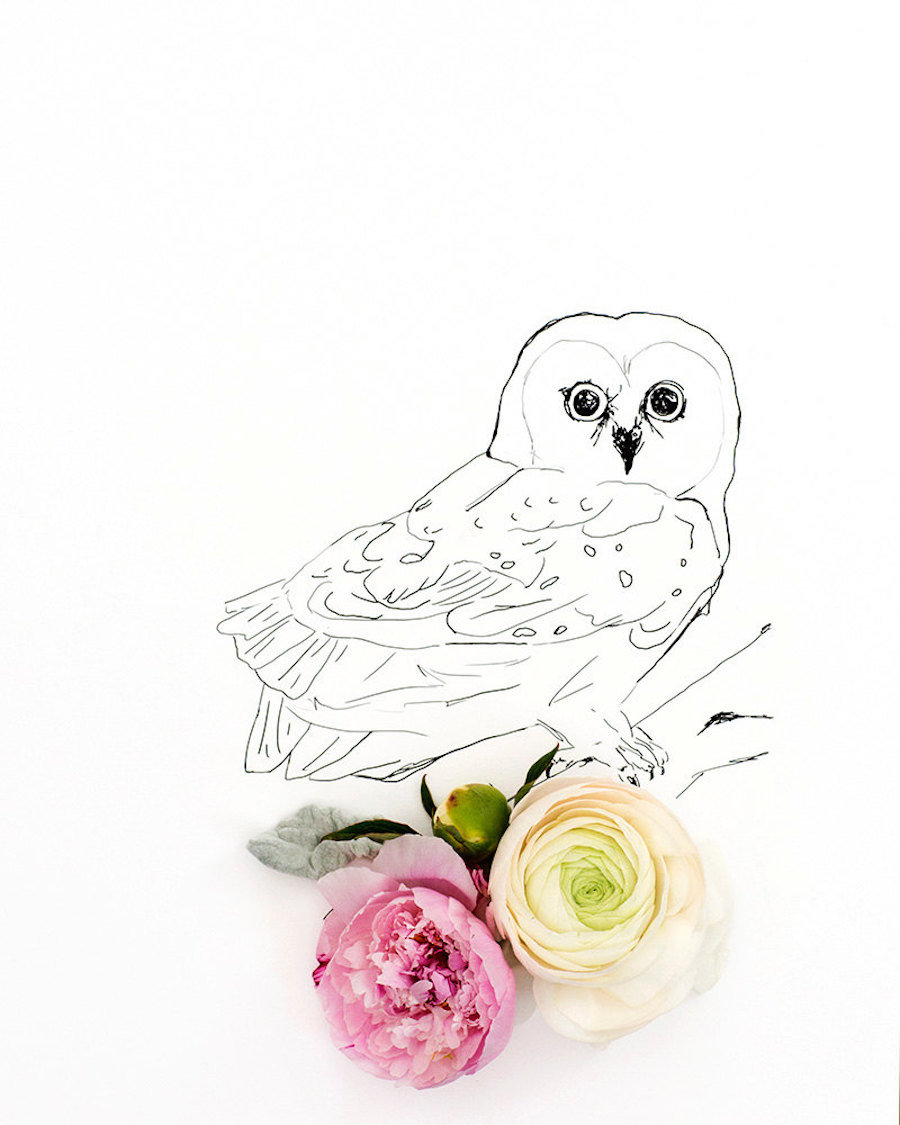 animalillustrationsflowers9