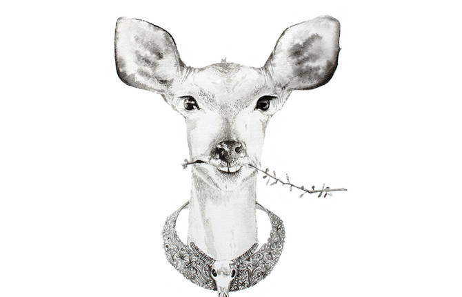 Watercolor Illustrations of Bejeweled Animals