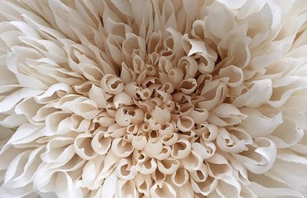 Magnificent Handcrafted Paper Flowers