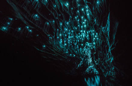 Mesmerizing Pictures of Glow Worms Lighting Up an Underground Cave