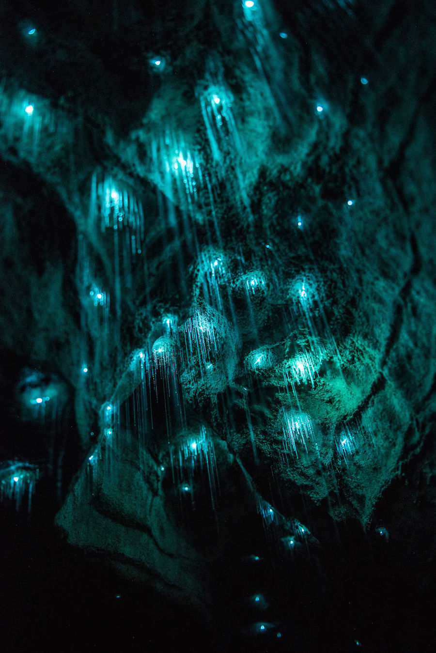 Mesmerizing Pictures of Glow Worms Lighting Up an Underground Cave.