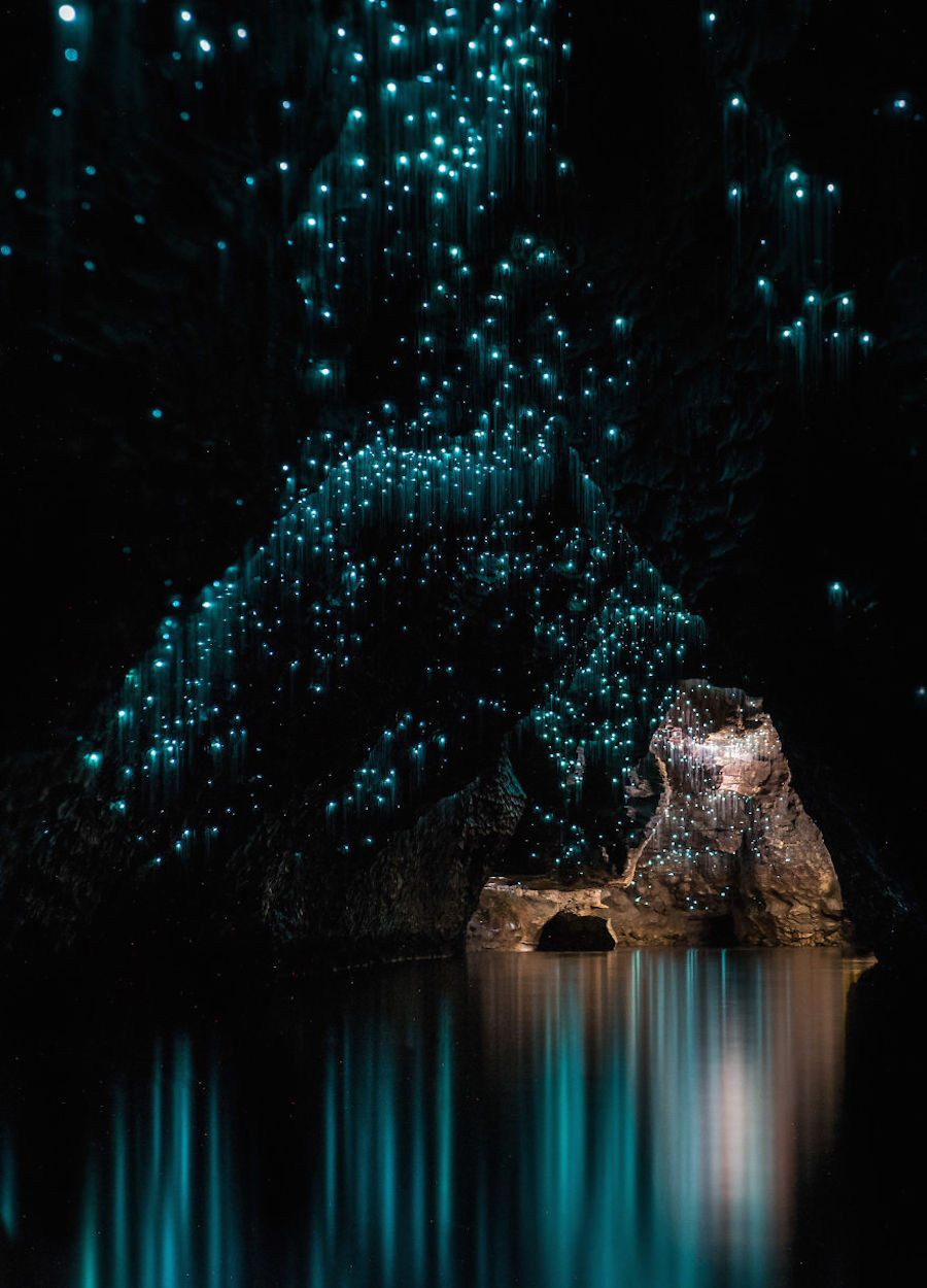 Mesmerizing Pictures of Glow Worms Lighting Up an Underground Cave.
