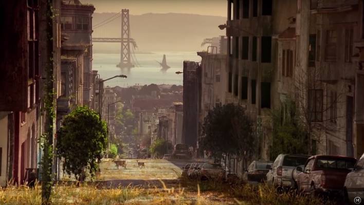What Would Happen If Humans Disappeared?