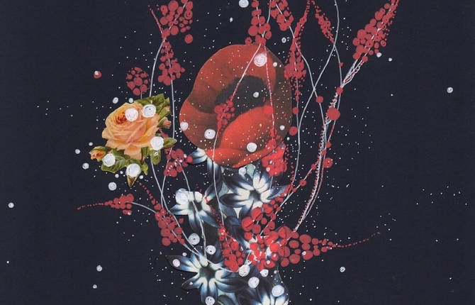 Flowery Sea Creatures Art Collages
