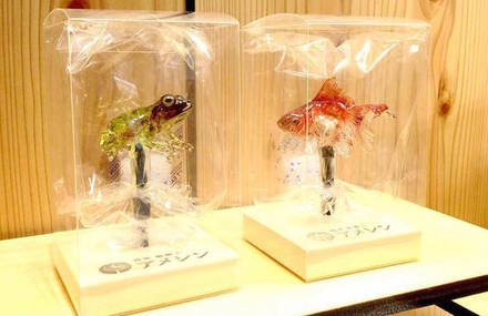 Artistic Lollipops by Shinri Tezuka